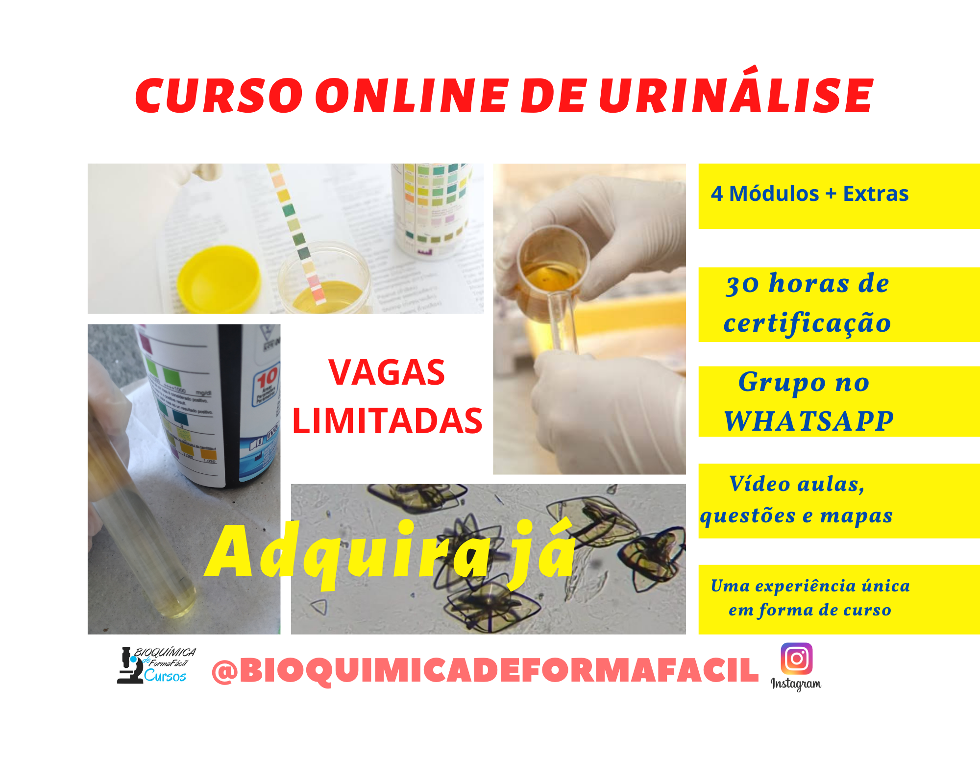 Curso Online de Urinálise