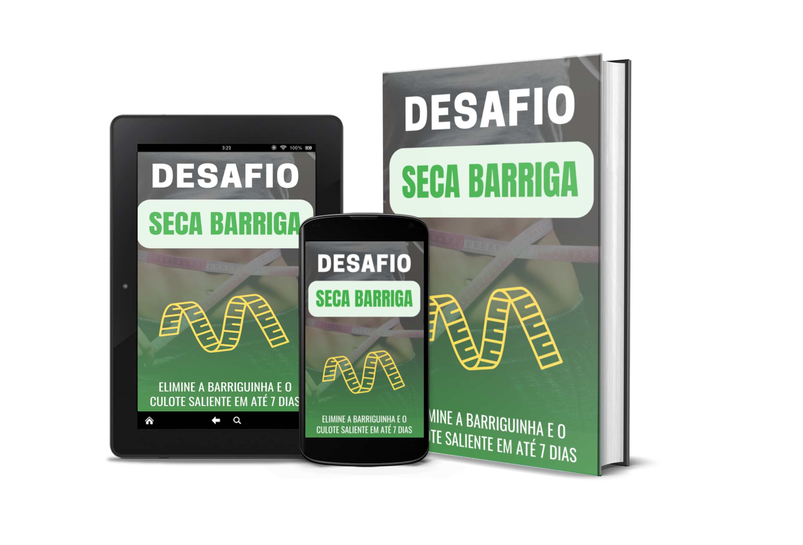 DESAFIO SECA BARRIGA