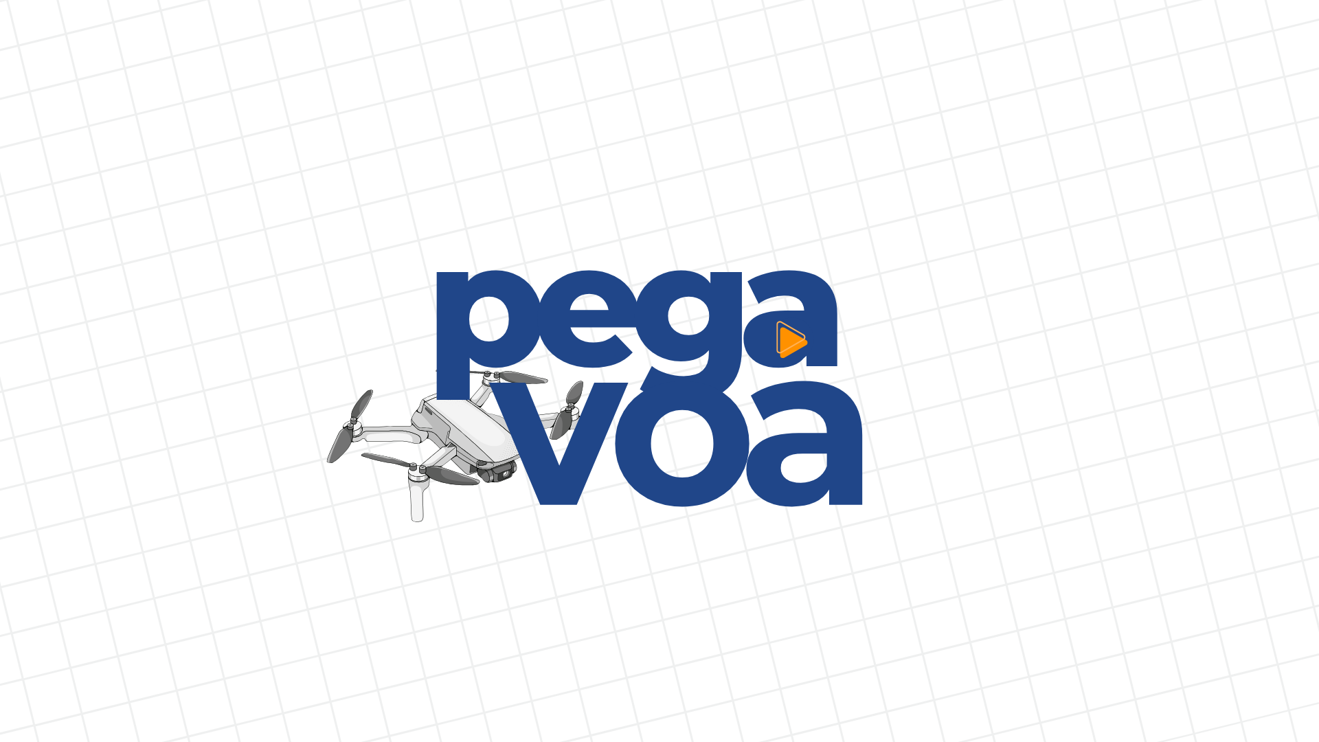 Pega e voa - Transforme seu voo em lucro