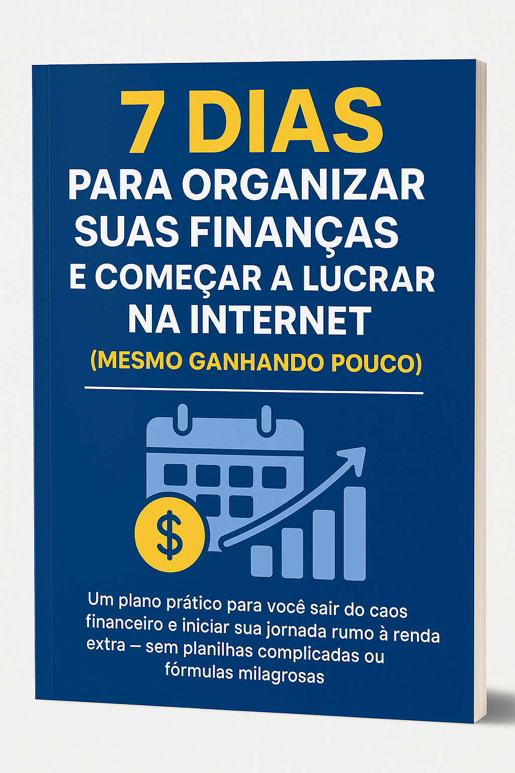 7 Dias para Organizar suas Finanças e Começar a Lucrar na Internet ...