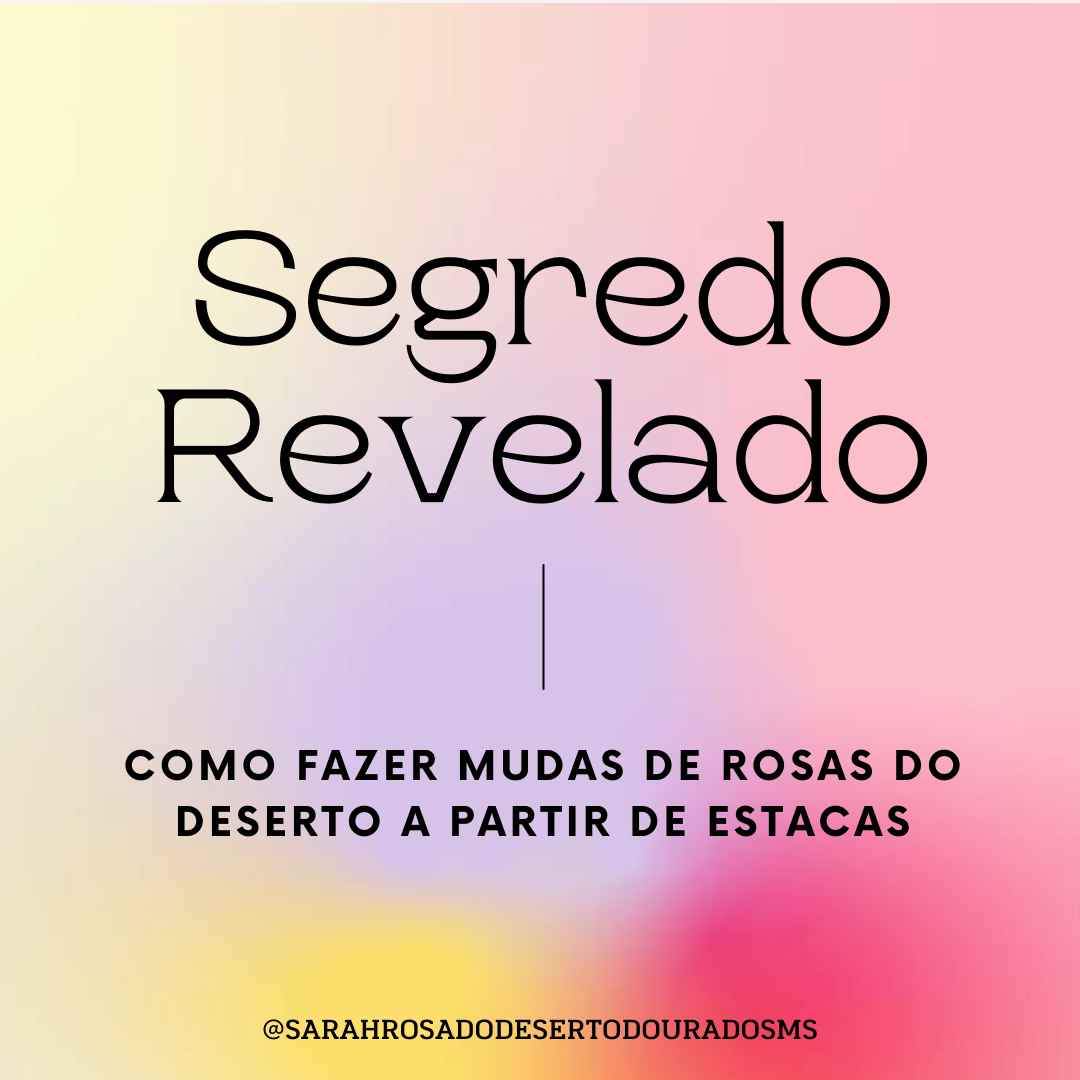COMO FAZER MUDAS DE ROSAS DO DESERTO A PARTIR DE ESTACAS