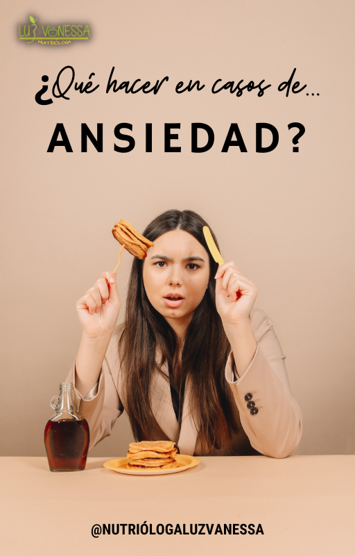 Ebook Qué hacer en caso de ansiedad Luz Vanessa Vázquez Landa Hotmart