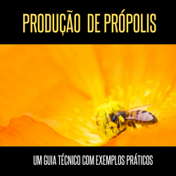 Imagem de capa para o Ebook Produção de Própolis