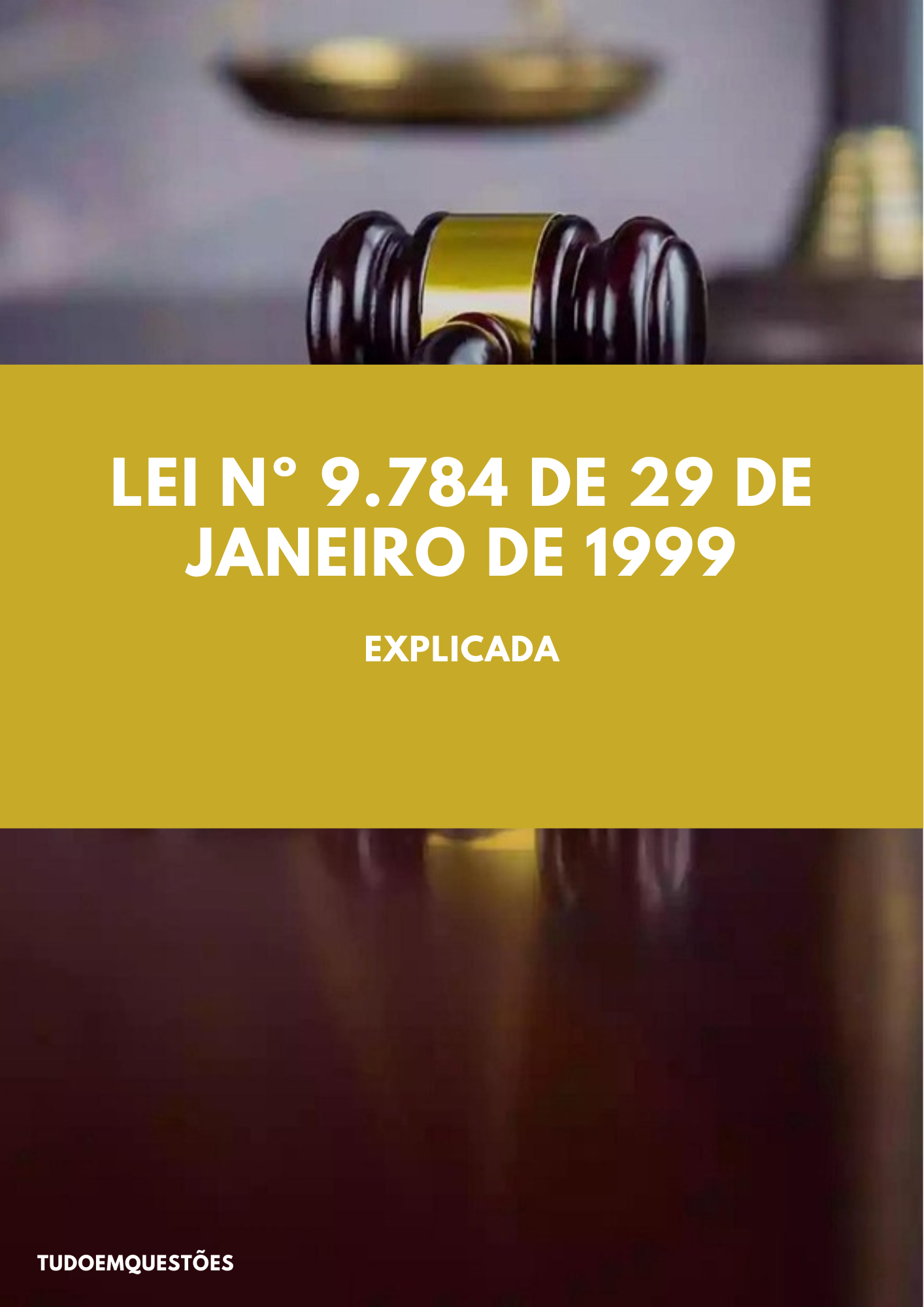 Lei nº 9.784 de 29 de janeiro de 1999 - Comentada