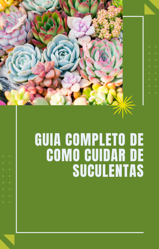 Guia Completo de Como Cuidar de Suculentas