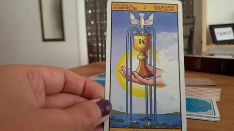 🌟 Descubre el Tarot Interactivo Online para Transformar Tu Destino...