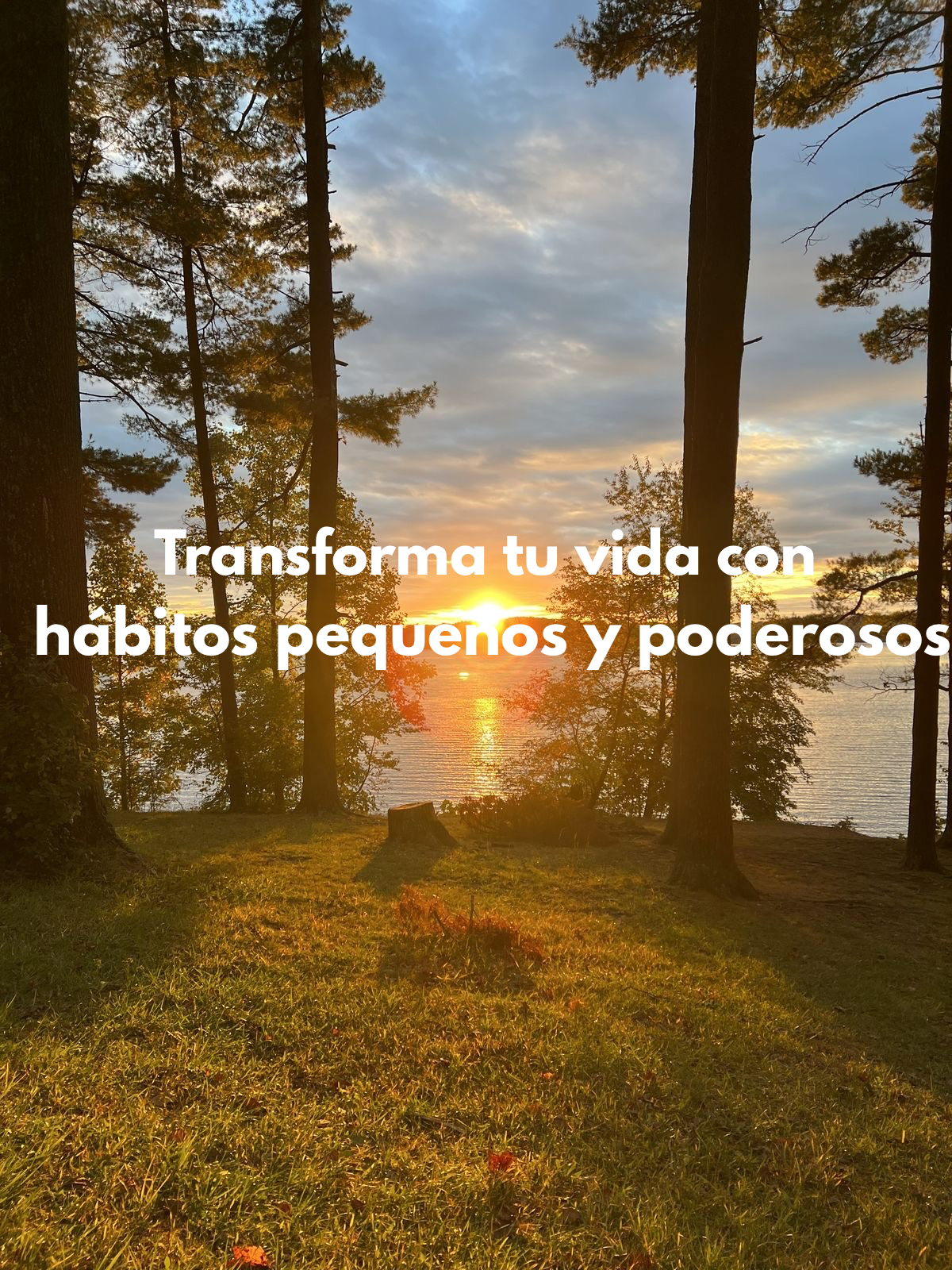 Transforma tu vida con hábitos pequeños y poderosos | Hotmart