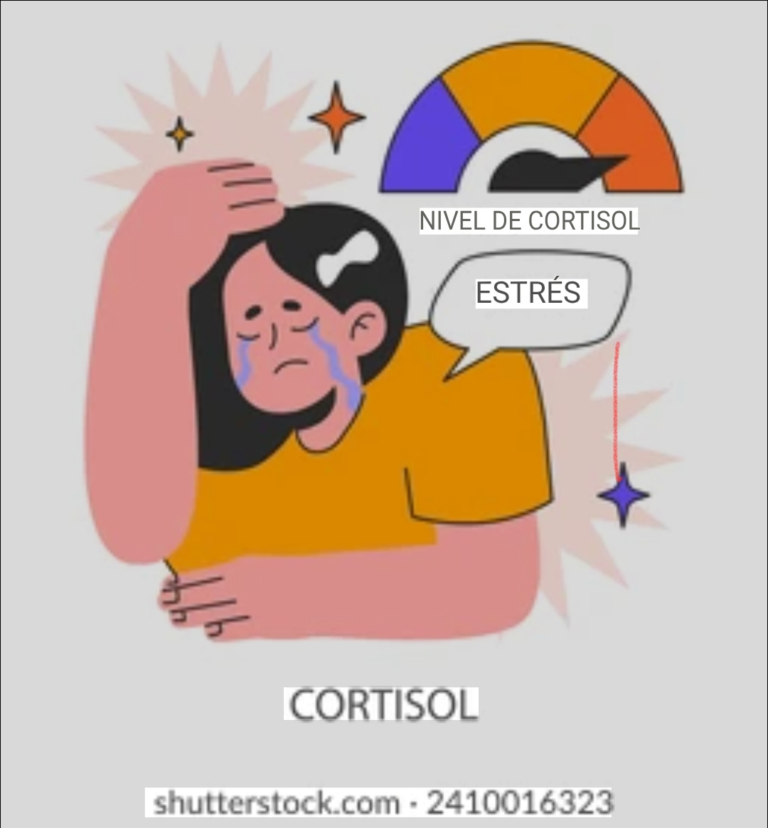 Cortisol en Calma: La Guía Definitiva para Bajar el Estrés y Recupe...