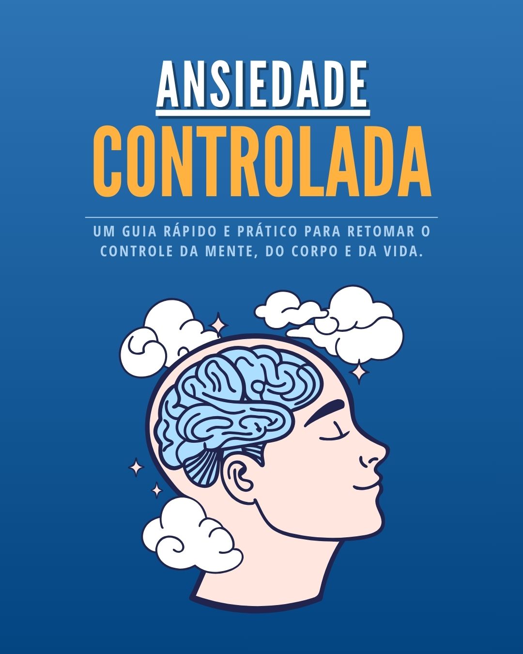 Ansiedade Controlada: Um guia rápido e prático para retomar o contr...