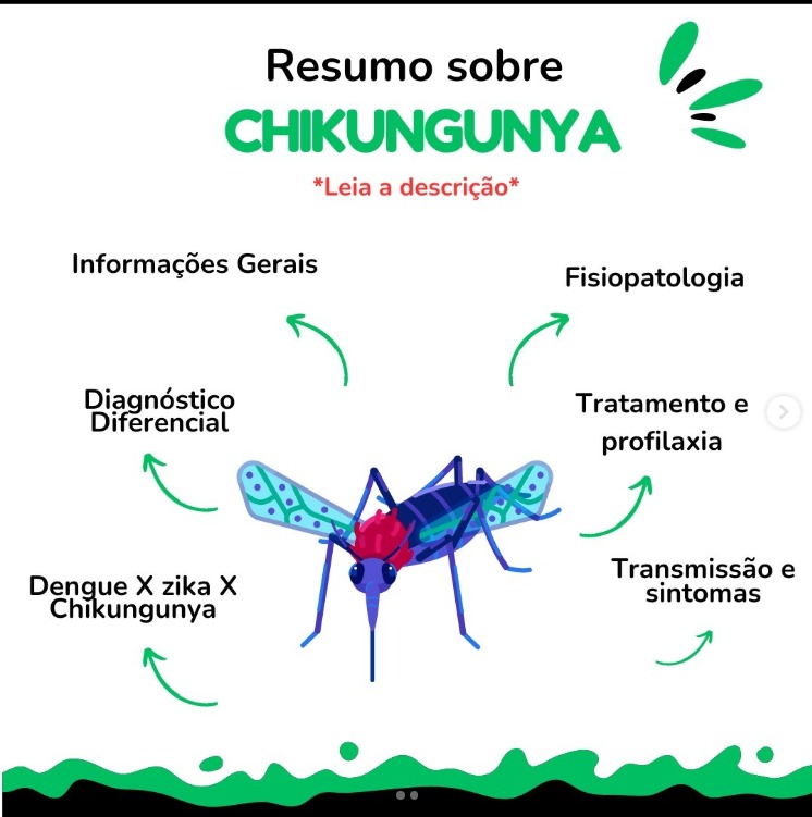 Chikungunya Descomplicada: o resumo ideal para diagnóstico, manejo ...