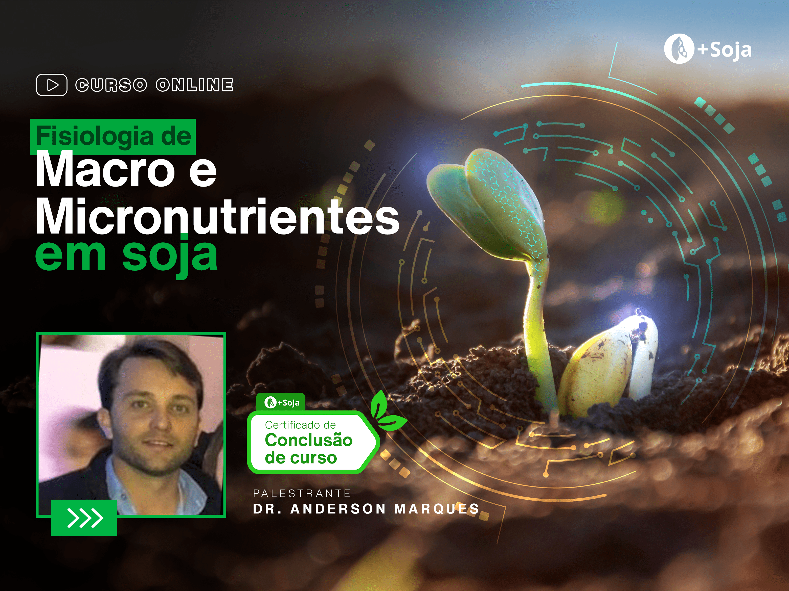 Fisiologia de Macro e Micronutrientes em soja: O tema que todo agrônomo deveria dominar... - Mais Soja | Hotmart