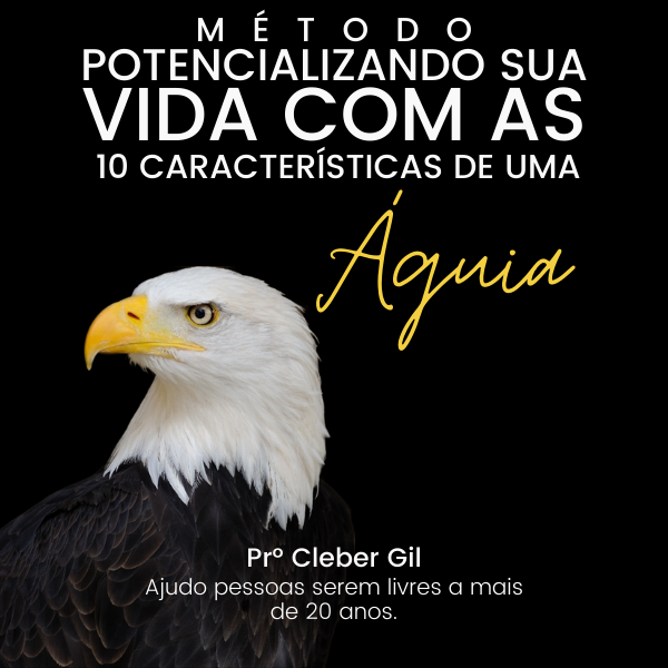POTENCIALIZANDO SUA VIDA COM AS 10 CARACTERÍSTICAS DE UMA ÁGUIA 