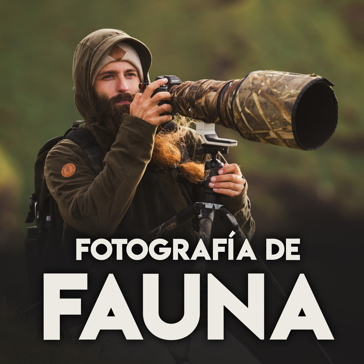 Curso de Fotografía de Fauna
