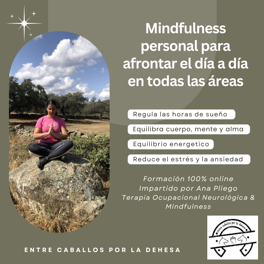 Mindfulness personal para afrontar el día a día en todas las áreas ...