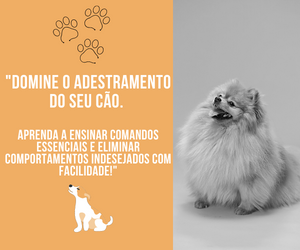 COMO ADESTRAR SEU PET PARA INICIANTES