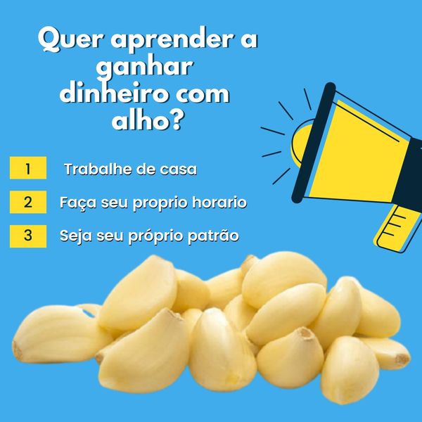 Imagem de capa para o Curso online FATURANDO COM "ALHO" (ACESSO VITALÍCIO)