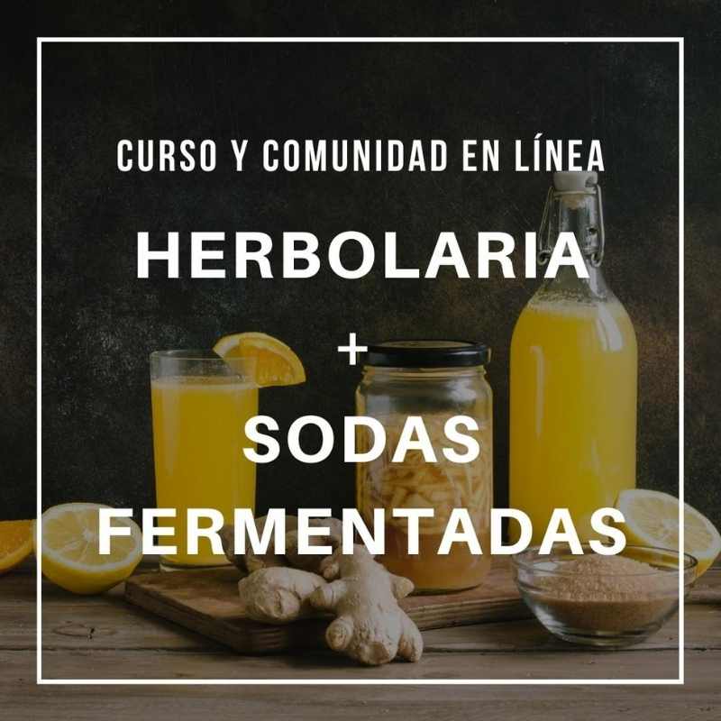 Introducción a la Herbolaria + Sodas Fermentadas Katita Yo Soy