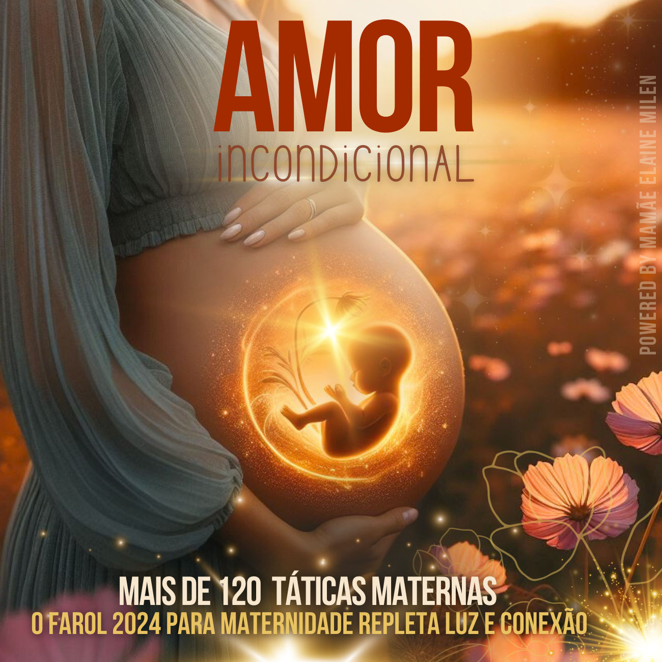 Maternidade o Amor Incondicional - Gestação aos 02 Anos - Guia Pr...