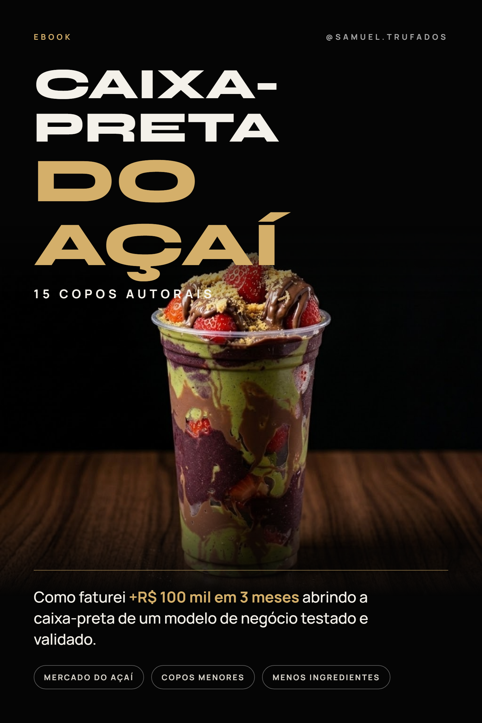Capa Ebook Caixa Preta do Açaí