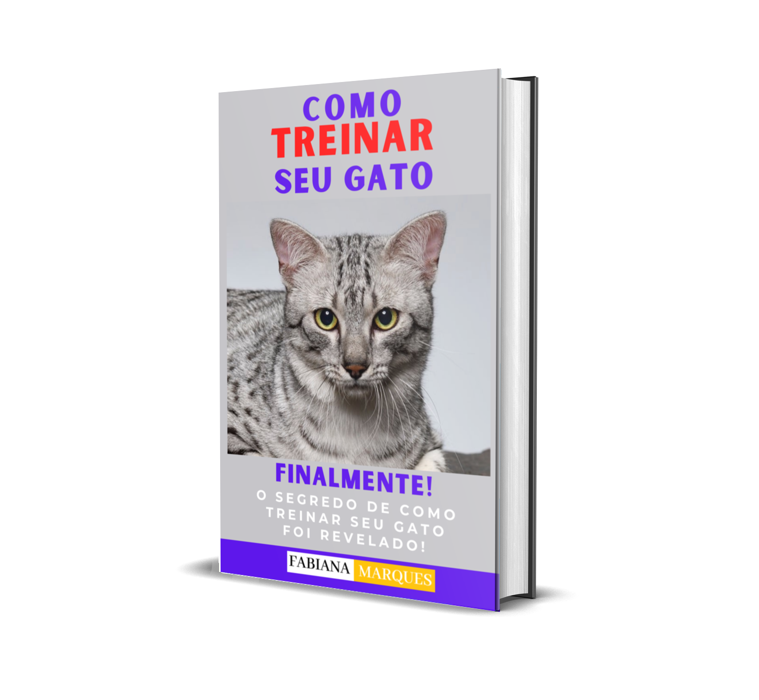 Como treinar o seu GATO - Fabiana Marques | Hotmart