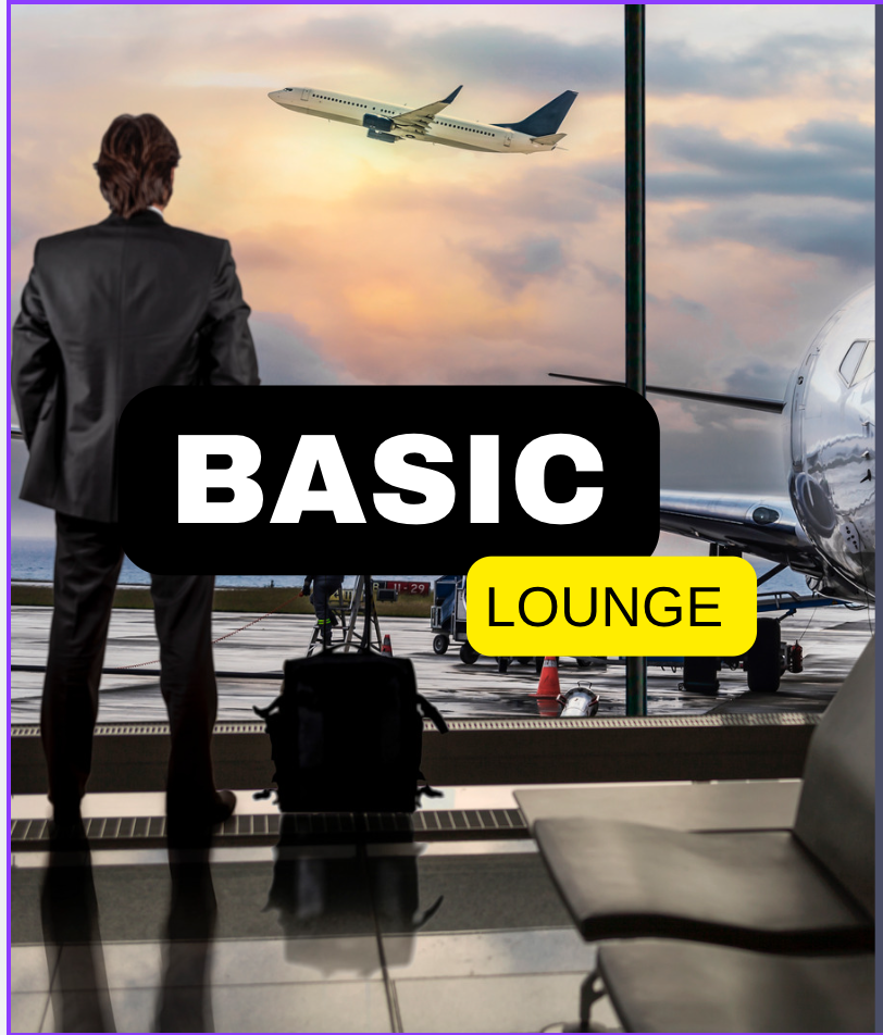 Basic Lounge - treinamento online