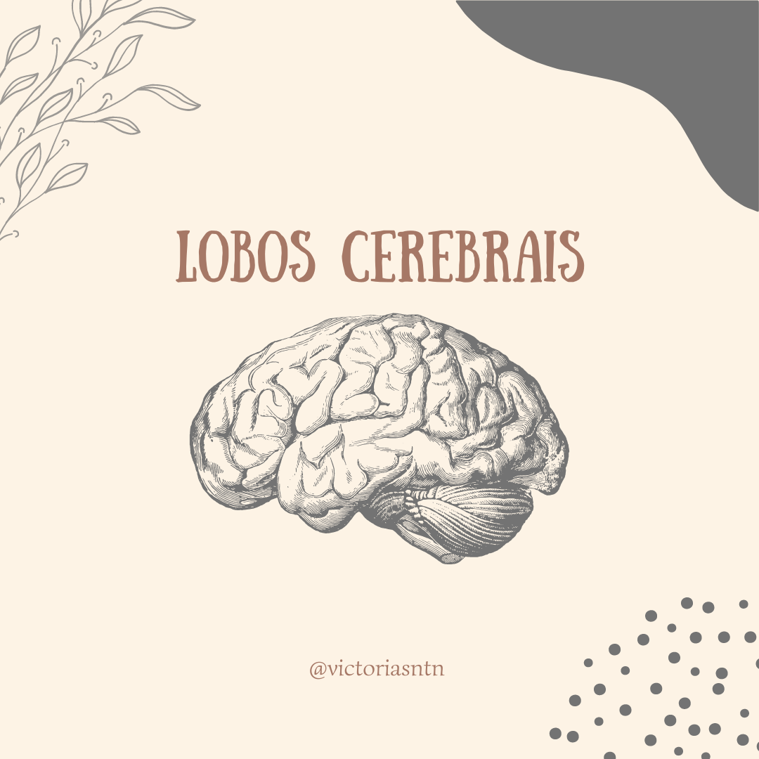 Lobos Cerebrais - Mapa Mental - Victória Santana | Hotmart