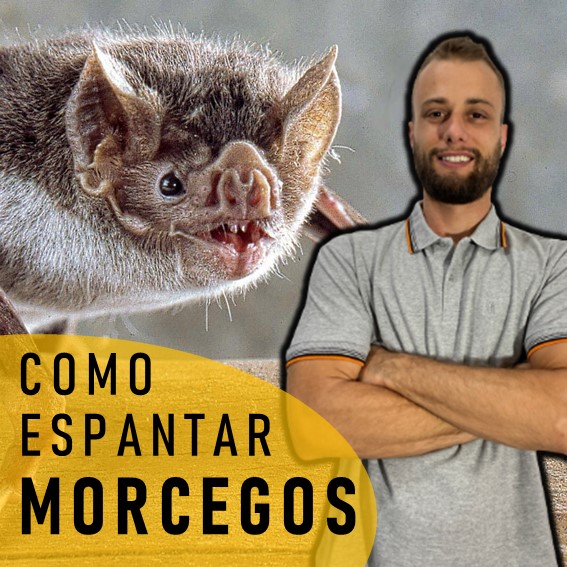 Como Espantar Morcegos - Biól Richard Floriani