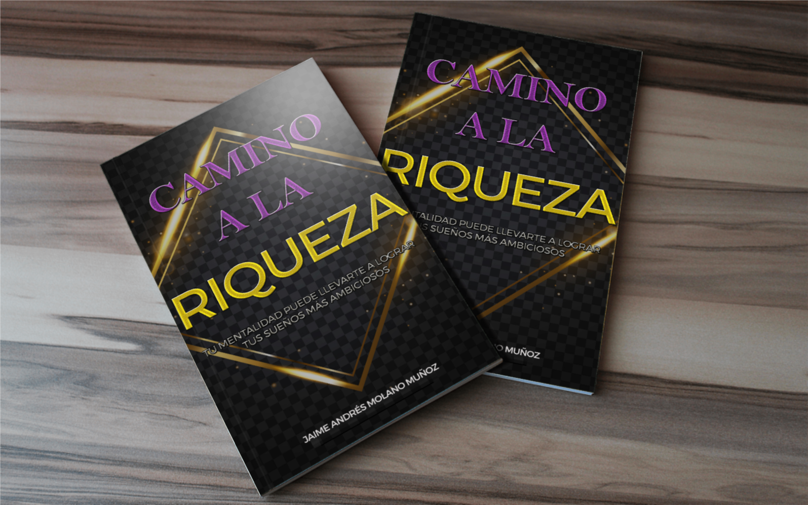 Ebook Camino a la riqueza, tu mentalidad define tus ingresos.