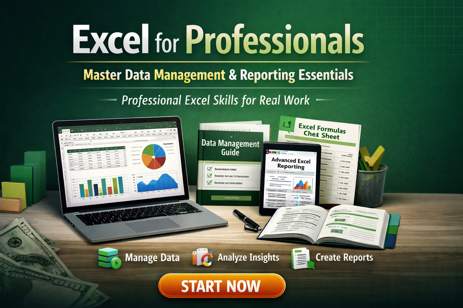 Excel for Professionals: Master Data Management and Reporting Essen...