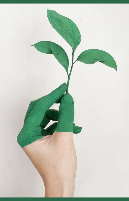 “Horta Fácil: Como Plantar Hortaliças em Casa ou em APPVocê sempre quis ter uma horta, mas não sabia por onde começar? Este eBook foi feito especialmente para você! “Horta Fácil: Cultivo de Hortaliças em APP e Casas”