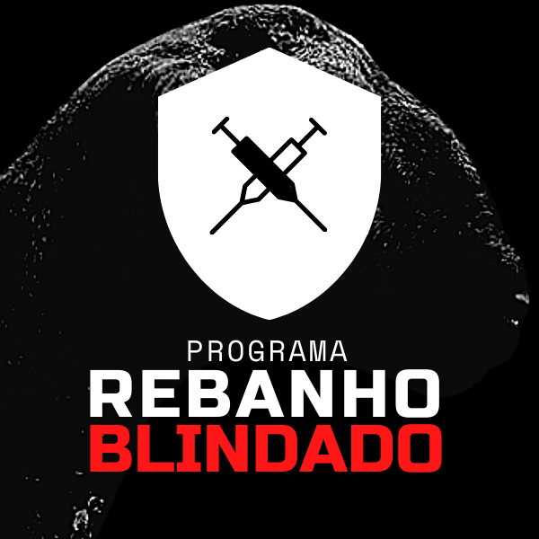 Combo - Programa Rebanho Blindado - Acelerador de Resultados