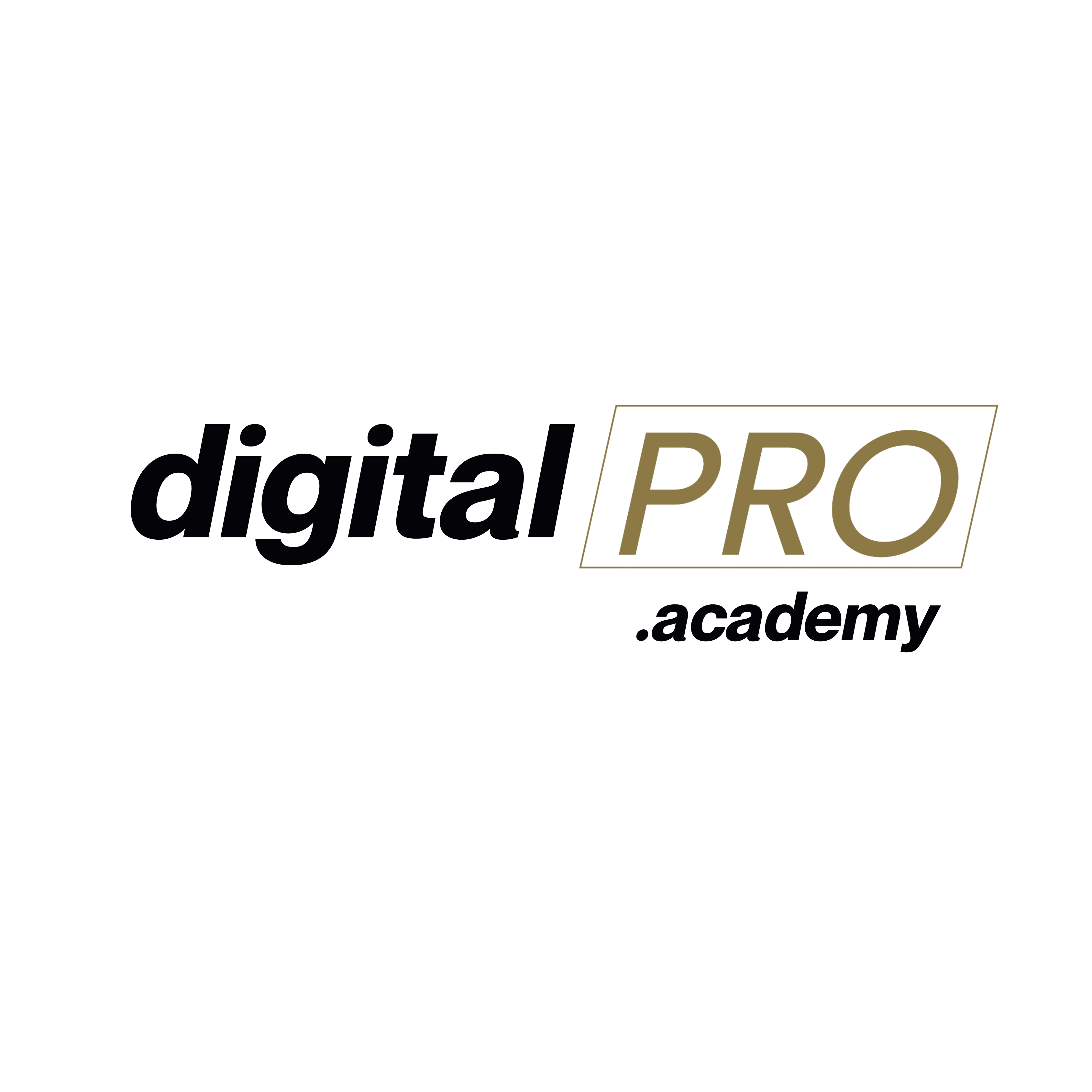 Digital Pro Academy Stein Rocket Hotmart