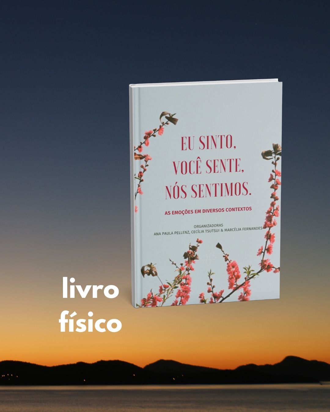 eu-sinto-voc-sente-n-s-sentimos-vers-o-f-sica-colorida-cec-l