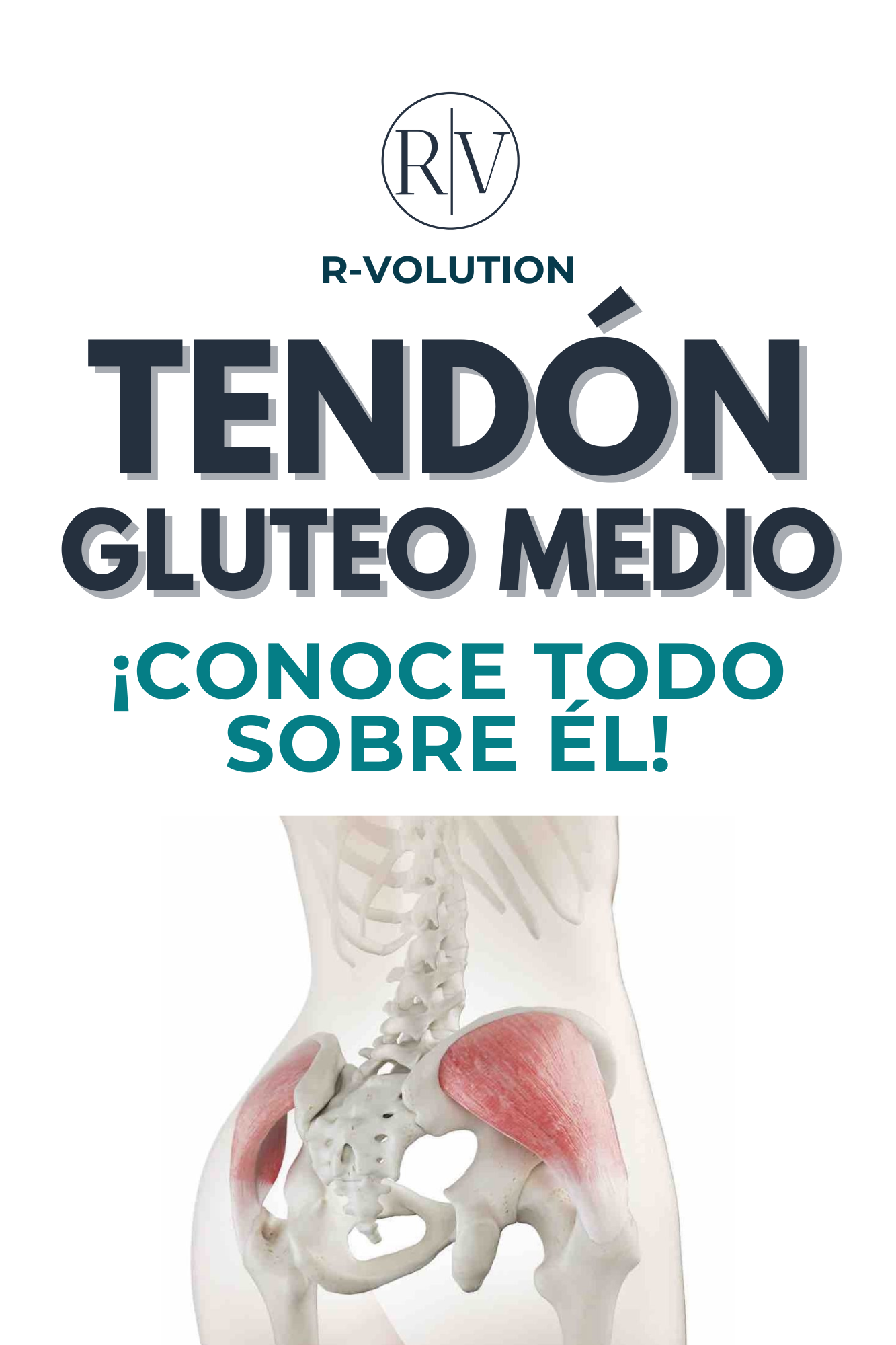 Anatomía y Causas de la Lesión del Tendón Glúteo - Aitor Rojas Sánc...