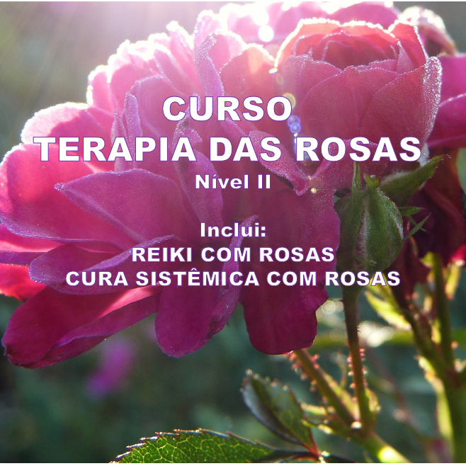 TERAPIA DAS ROSAS NÍVEL II - REIKI COM ROSAS E CURA SISTÊMICA COM