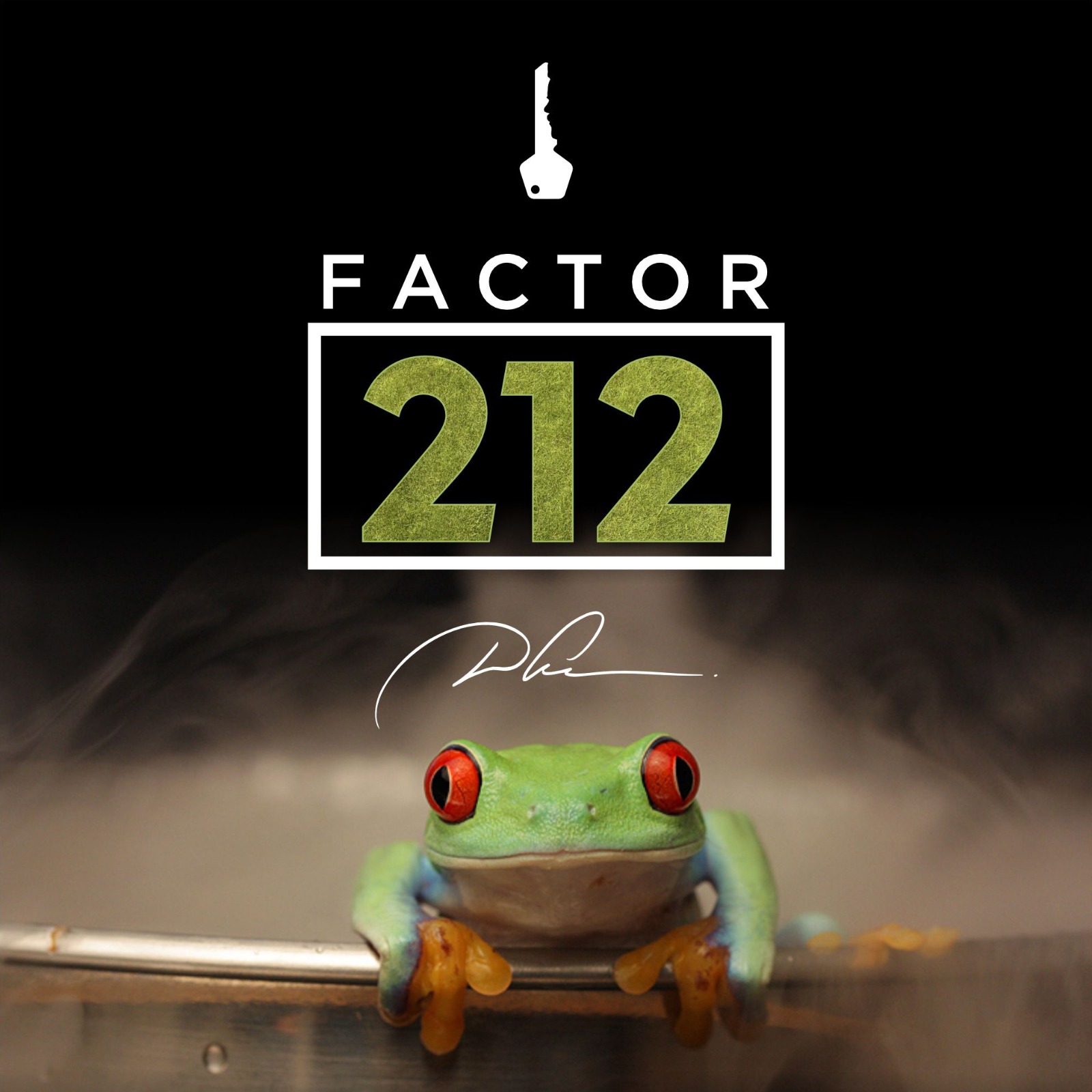 Masterclass Premium FACTOR 212 David Sobrino Hotmart masterclass-premium-factor-212-david-sobrino-hotmart