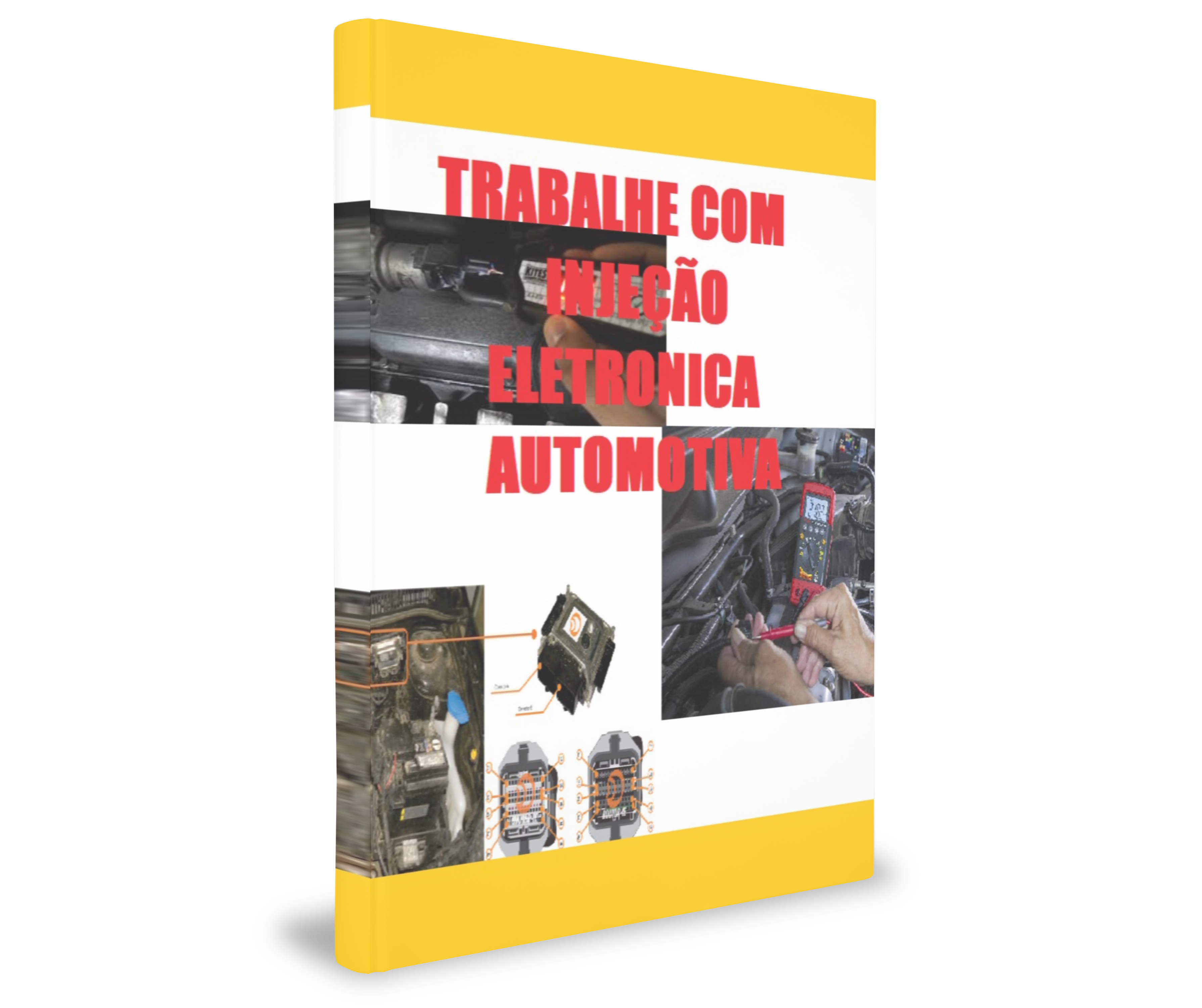 Trabalhe com injeção eletrônica automotiva - Linha Leve