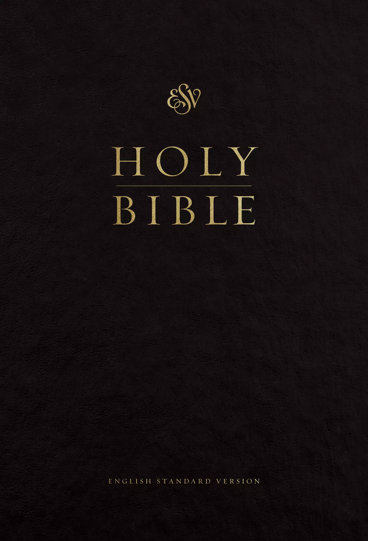 The Holy Bible in English - Mauricio Mosquera Vasquez | Hotmart
