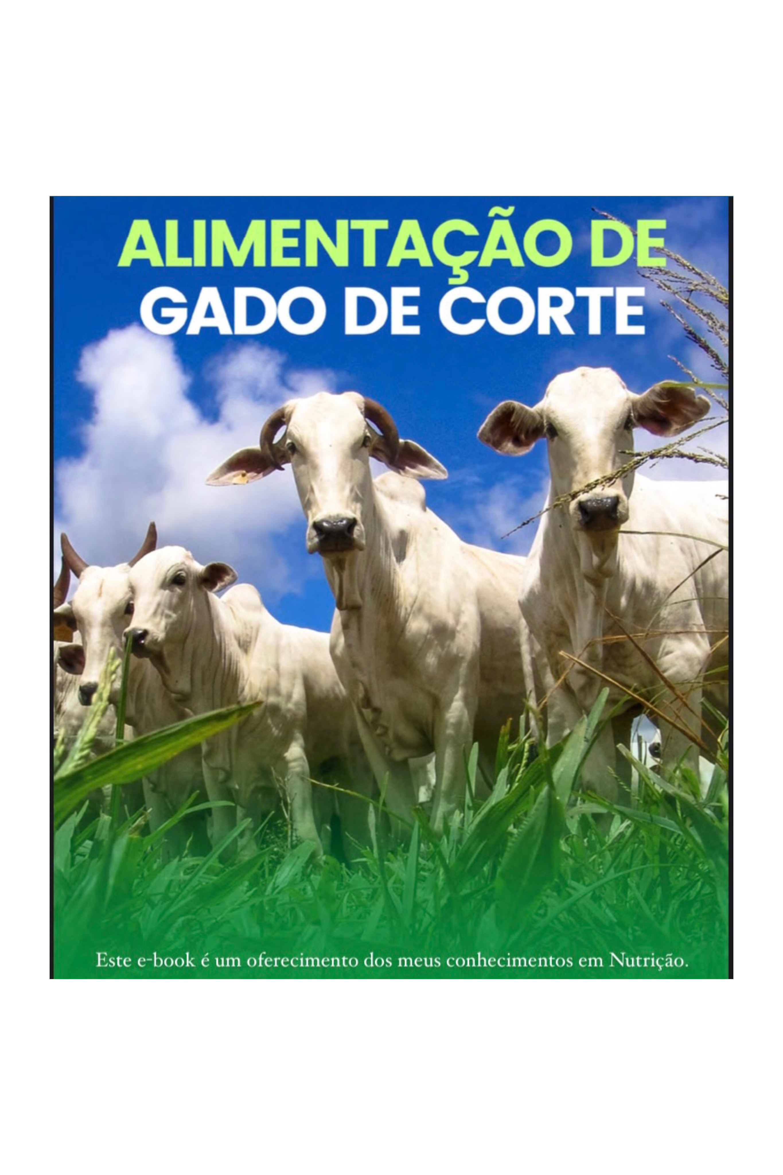 Alimentação de Gado de Corte por Leandro Galvão - Leandro Carlos G...