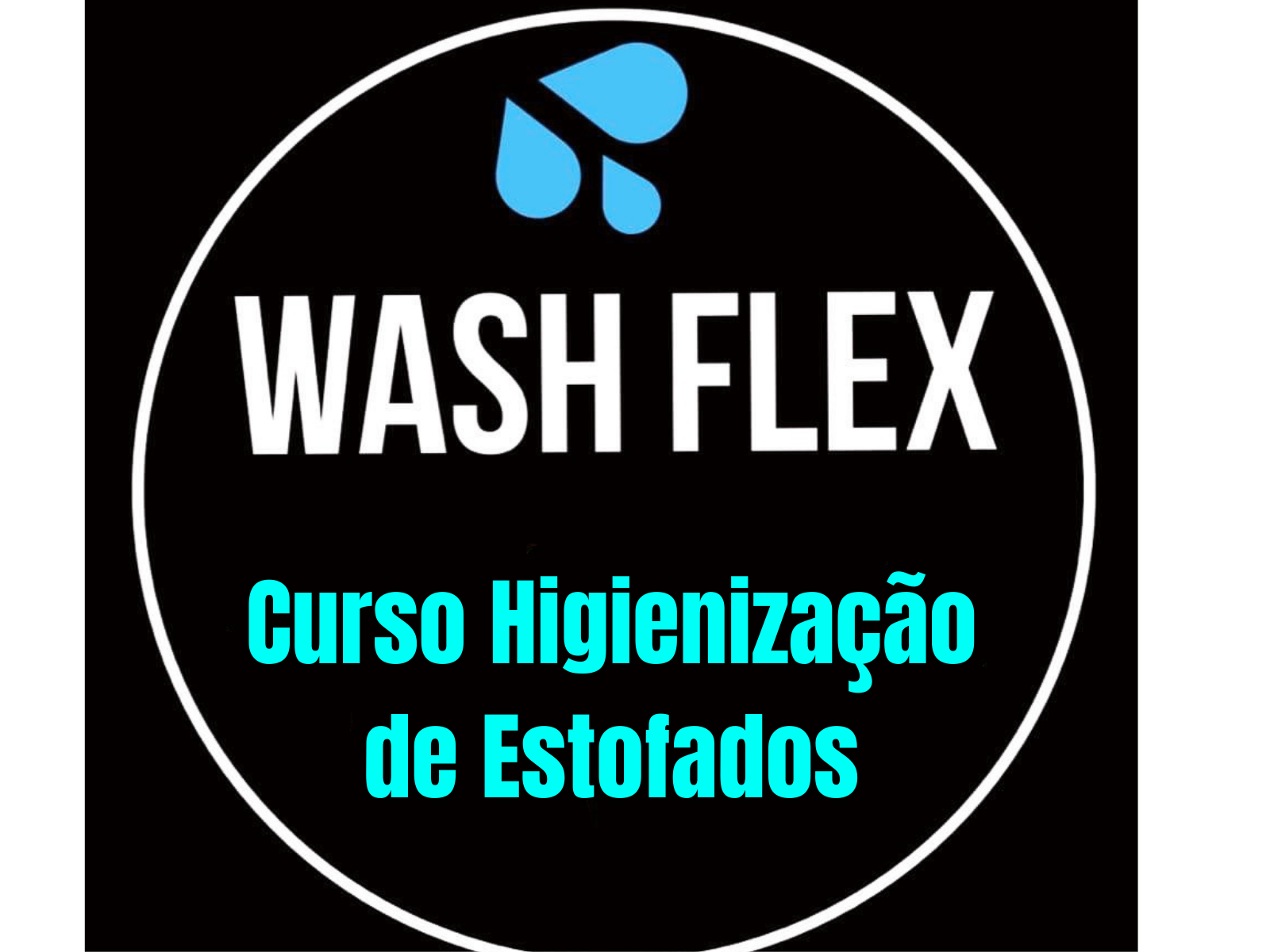 Wash Flex Curso de Higienização