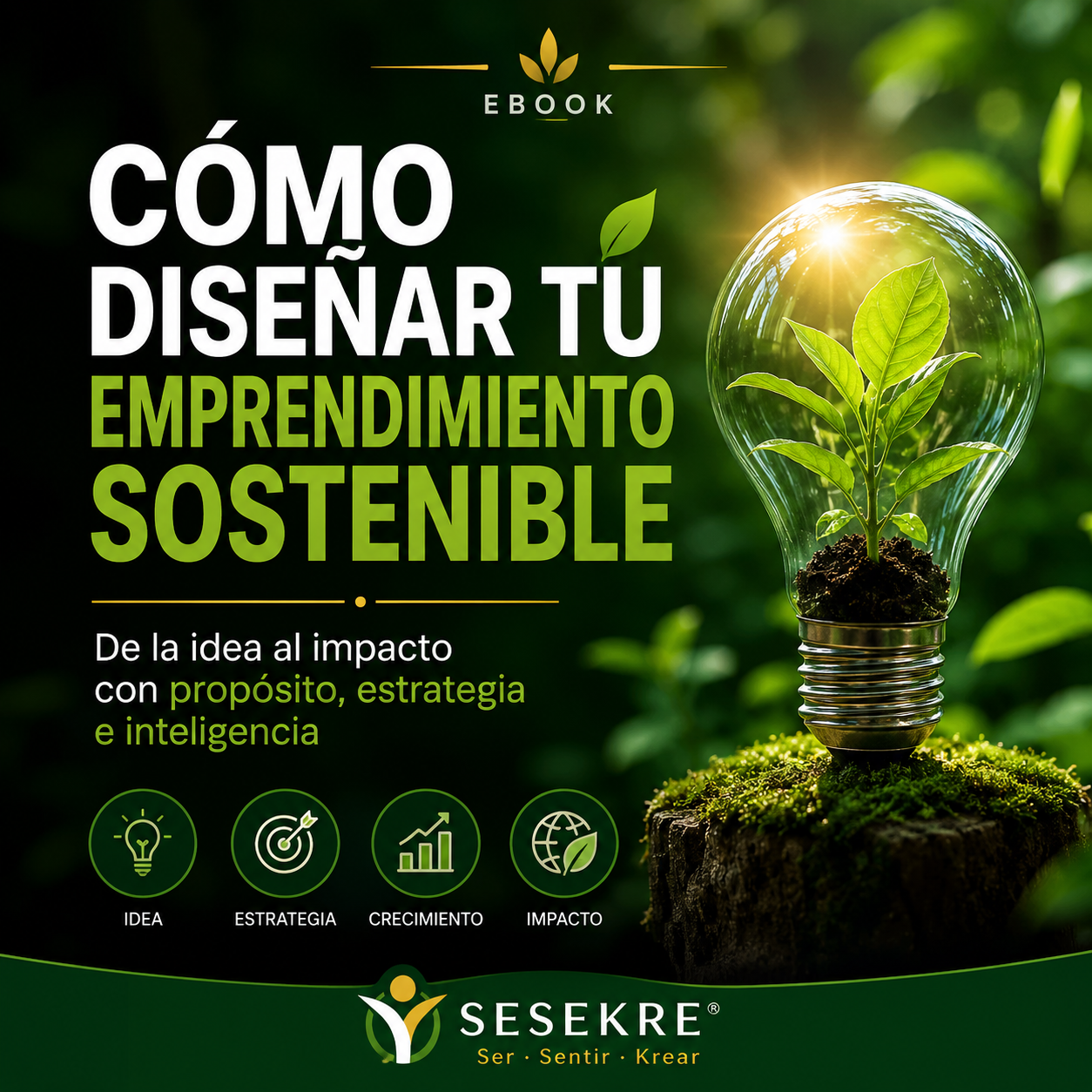 COMO DISEÑAR TU EMPRENDIMIENTO SOSTENIBLE
