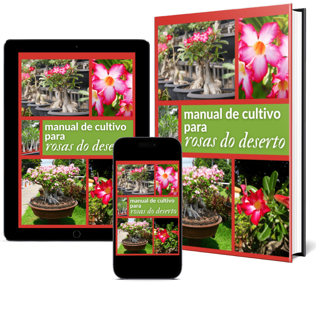 manual-rosas-do-deserto