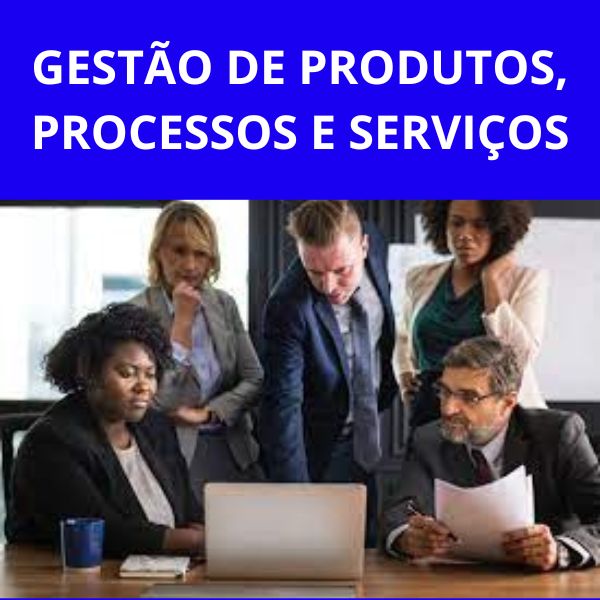 GESTÃO DE PRODUTOS, PROCESSOS E SERVIÇOS - Infomar Cursos Livres