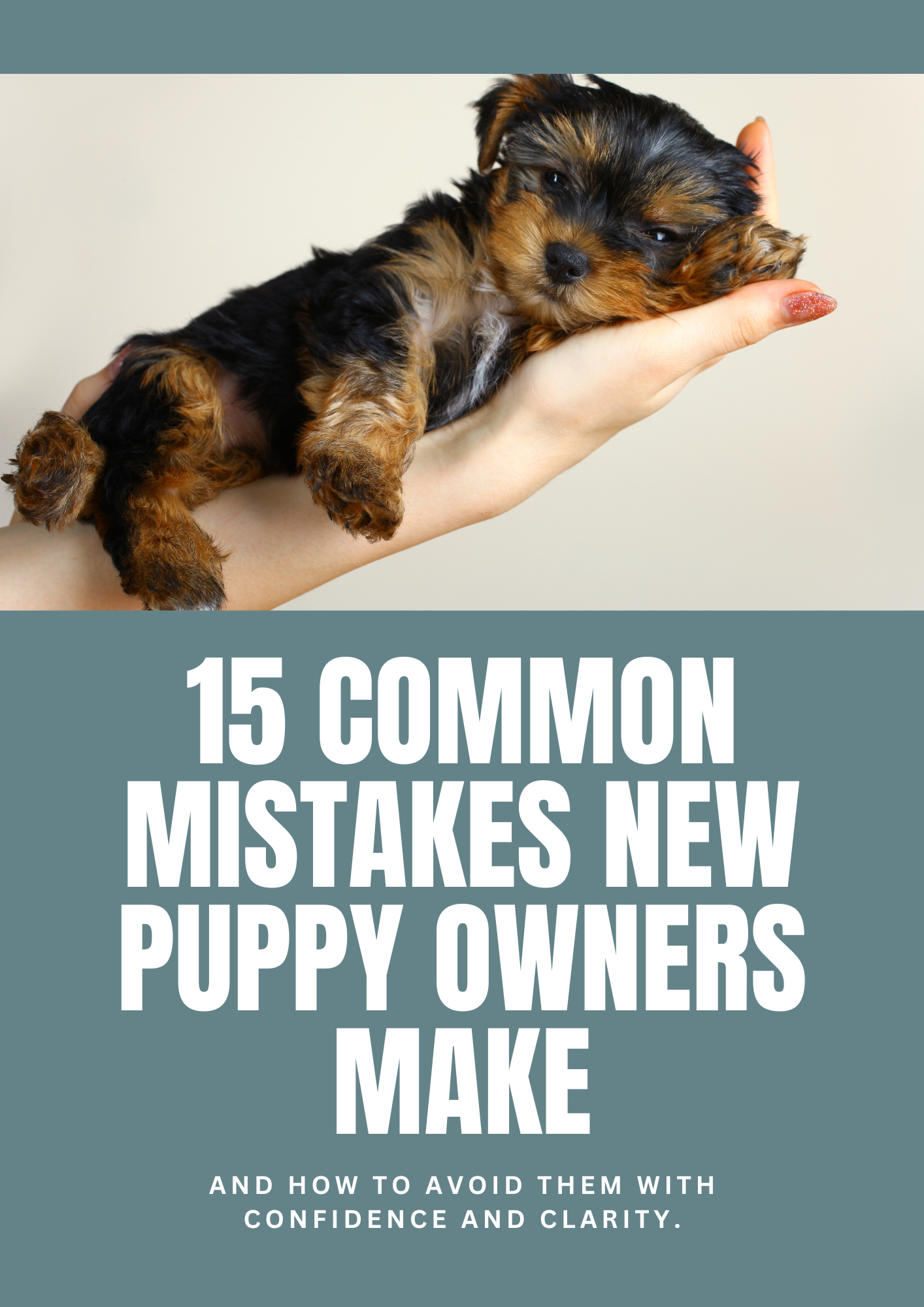 15 Common Mistakes Puppy Owners Make Photo Inspiration