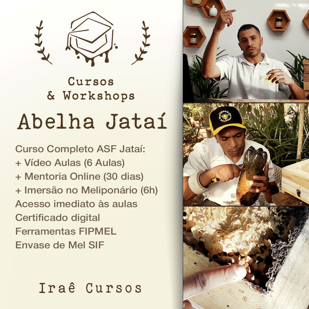 Curso Completo Abelha Jataí