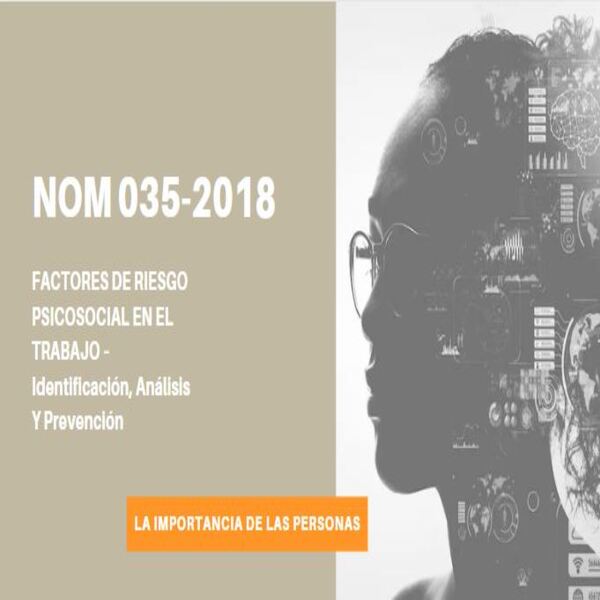 Nom 035 Stps 2018 Factores De Riesgo Psicosocial En El Trabajo Ide