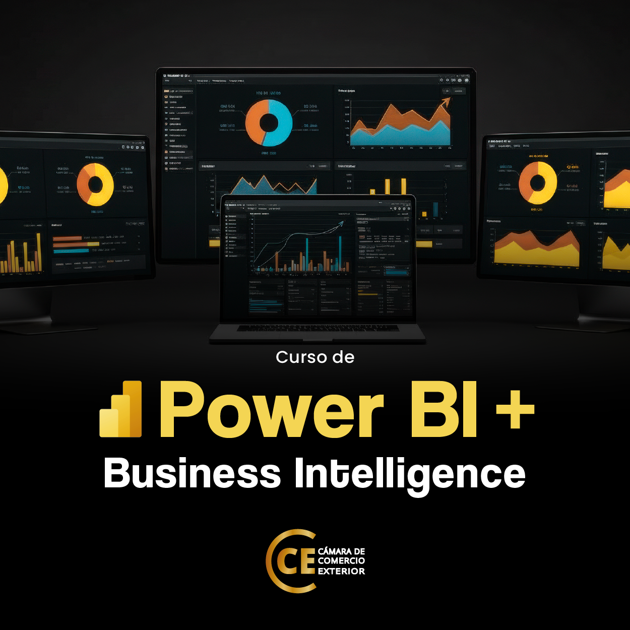 Curso de Power BI + Business Intelligence - CÁMARA DE COMERCIO EXTE...