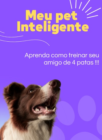 Meu pet Inteligente