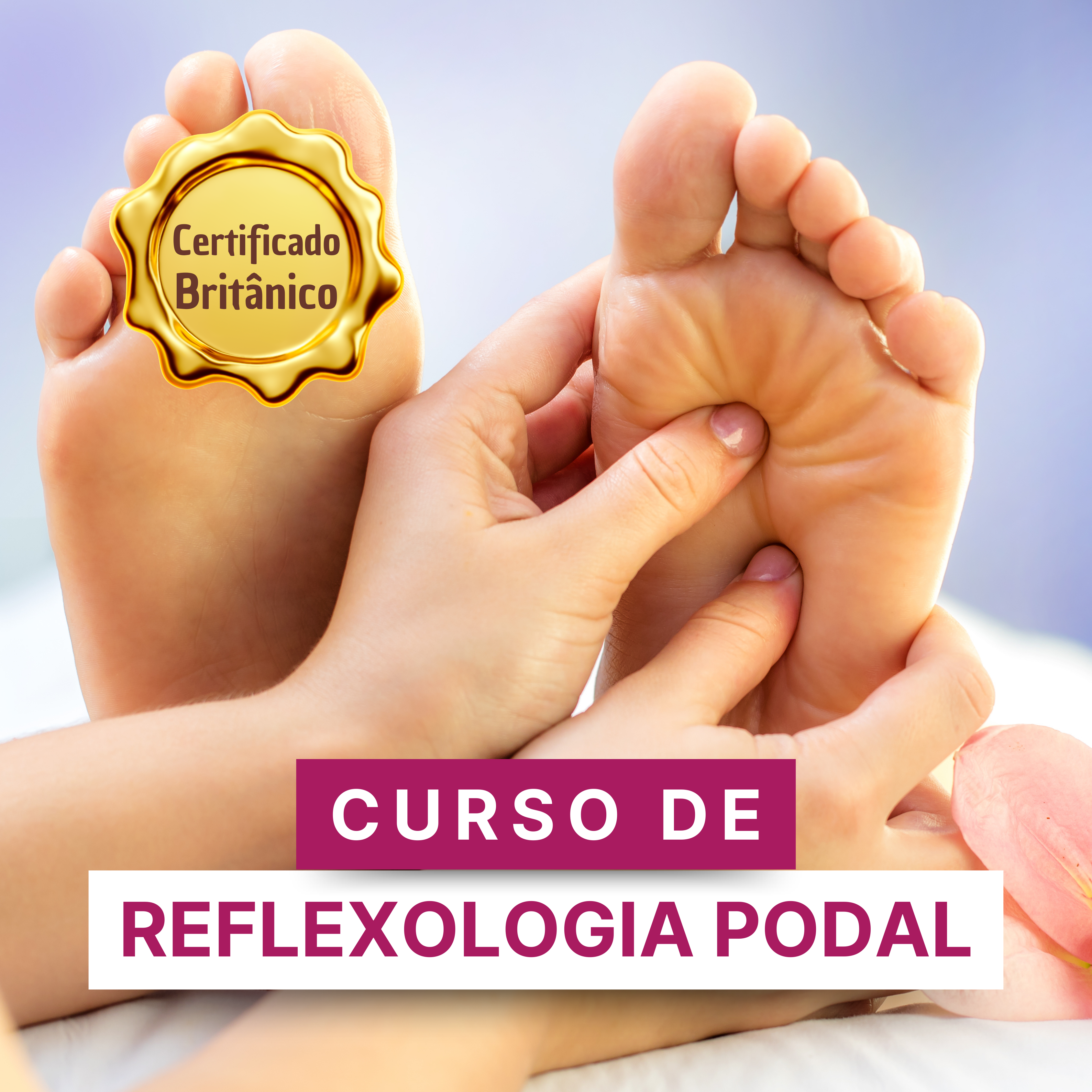 Imagem de capa para o Curso online Curso de Reflexologia Podal