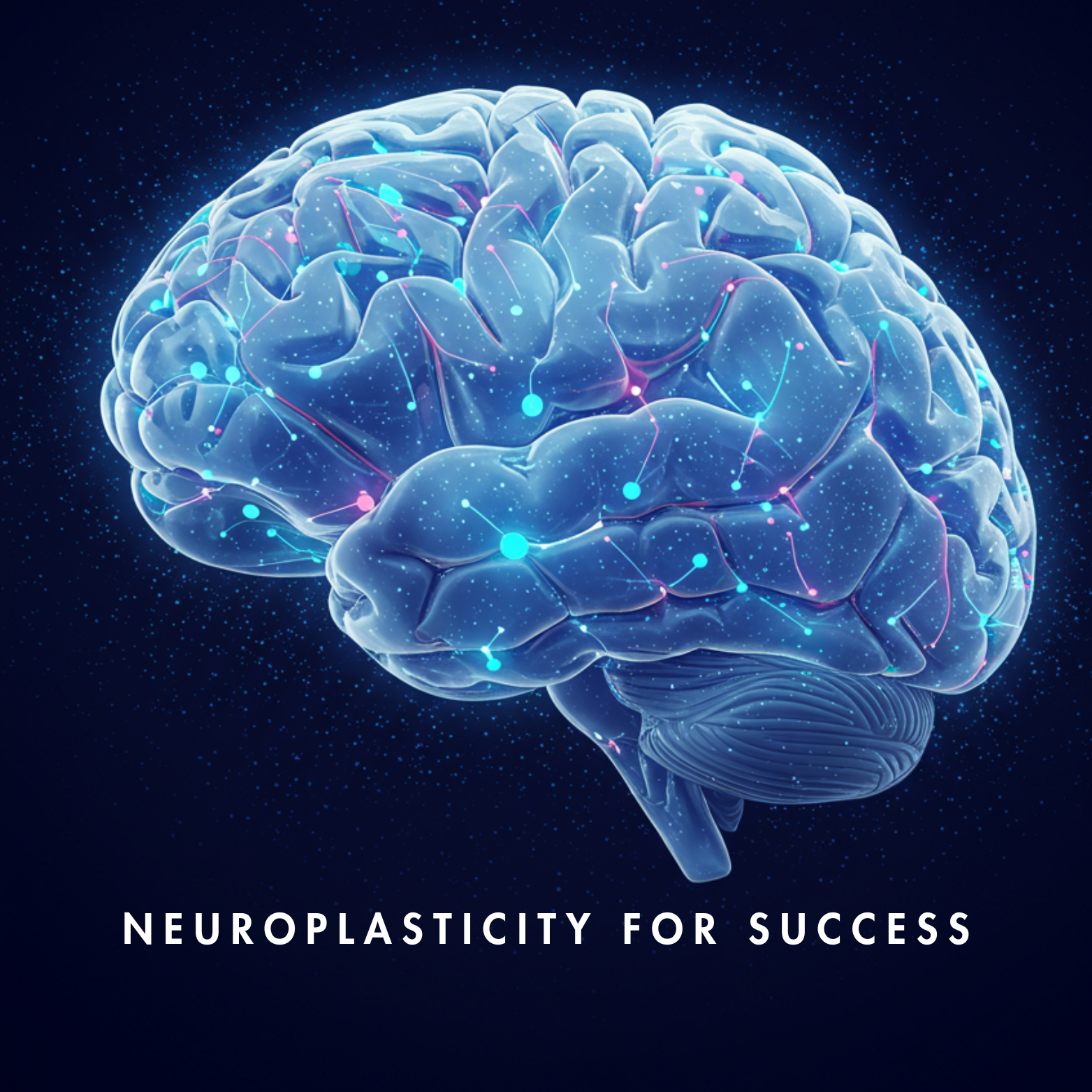 Re Program Brain Neuroplasticity for Success: Reprogram Your Brain - Self-Developmen...